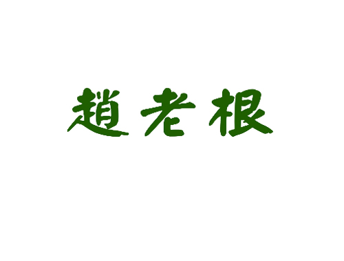 赵老根