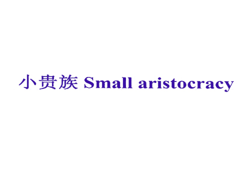 小贵族 SMALL ARISTOCRACY