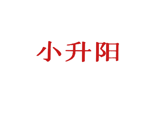小升阳