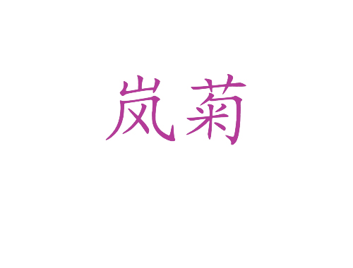 岚菊