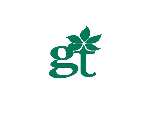 GT