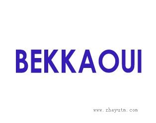 BEKKAOUI