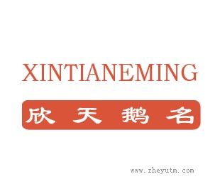 欣天鹅名