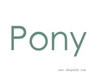 Pony
