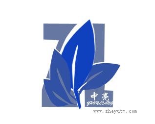 中亮