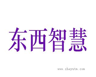 东西智慧