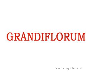 GRANDIFLORUM