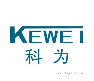 科为