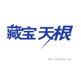 藏宝天根