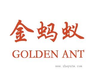 金蚂蚁