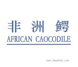 非洲鳄
