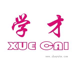 学才