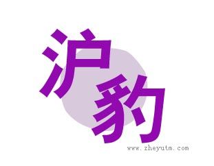 沪豹