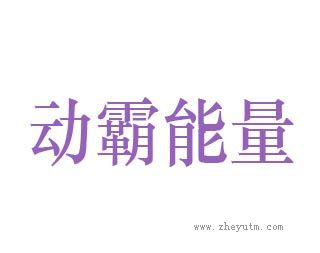 动霸能量