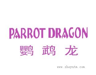 鹦鹉龙