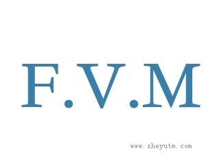 FVM