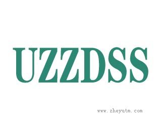 UZZDSS