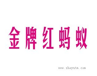 金牌红蚂蚁