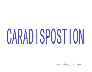 CARADISPISITION