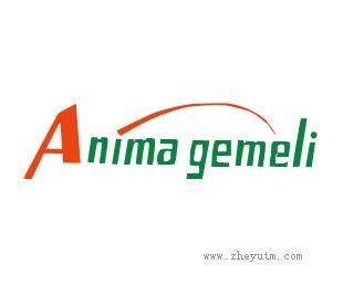 Anima gemeli