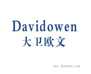 大卫欧文 DAVIDOWEN