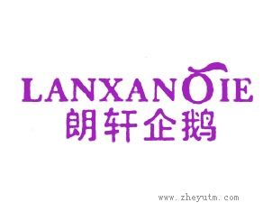 朗轩企鹅 LANXANQIE