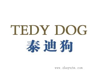 泰迪狗；TEDY DOG
