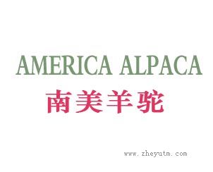南美羊驼；AMERICA ALPACA