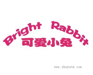 聪明小兔 BRIGHT RABBIT