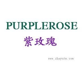 紫玫瑰 PURPLEROSE