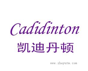 凯迪丹顿 CADIDNTON