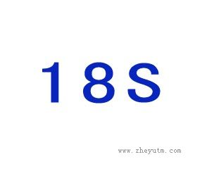S 18