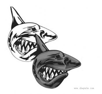 鲨鱼图形
