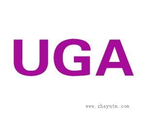 UGA