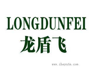 龙盾飞