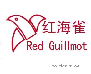 红海雀 RED GUILLEMOT