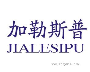 加勒斯&middot;普