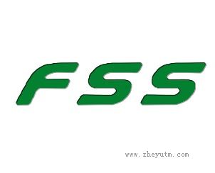 FSS