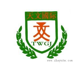天文国际 TWGJ