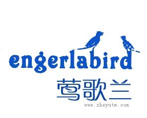 莺歌兰 ENGERLABIRD