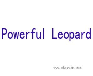 POWERFUL LEOPARD