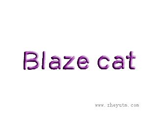 blaze cat