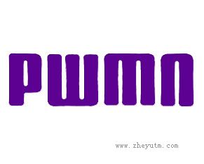 PWMN