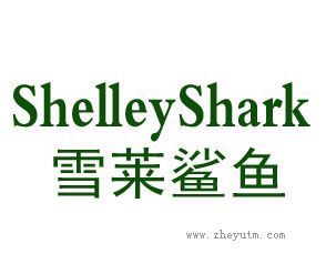 雪莱鲨鱼 SHELLEYSHARK