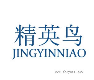 精英鸟