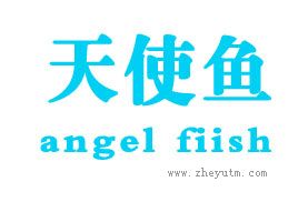 天使鱼