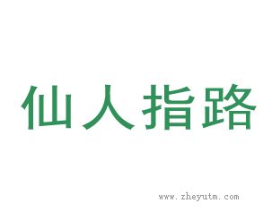 仙人指路