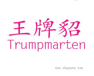 王牌貂;TRUMPMARTEN