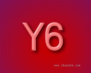 Y6