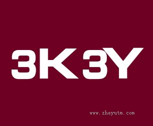3K3Y